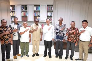 Saya ingin mengunjungi Merauke untuk berdialog dengan tokoh-tokoh asli Merauke guna membahas arah pengembangan kesejahteraan masyarakat